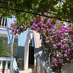 Branka Apartment